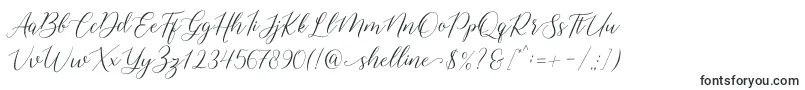 Шрифт shelline – каллиграфические шрифты