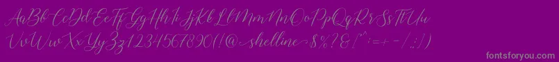 shelline-Schriftart – Graue Schriften auf violettem Hintergrund