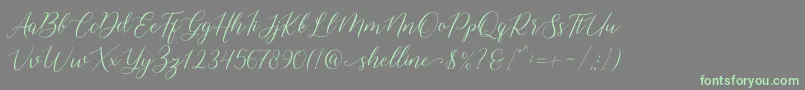 shelline-Schriftart – Grüne Schriften auf grauem Hintergrund