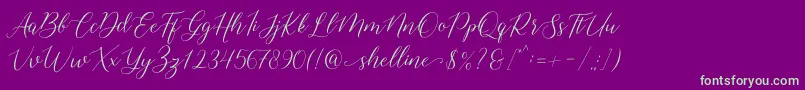 shelline-Schriftart – Grüne Schriften auf violettem Hintergrund