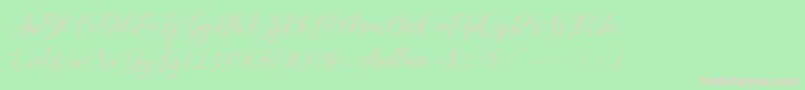 shelline Font – Pink Fonts on Green Background