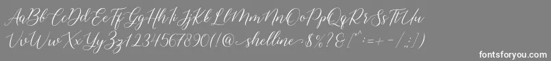 フォントshelline – 灰色の背景に白い文字