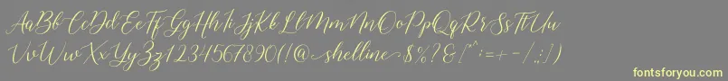 shelline Font – Yellow Fonts on Gray Background