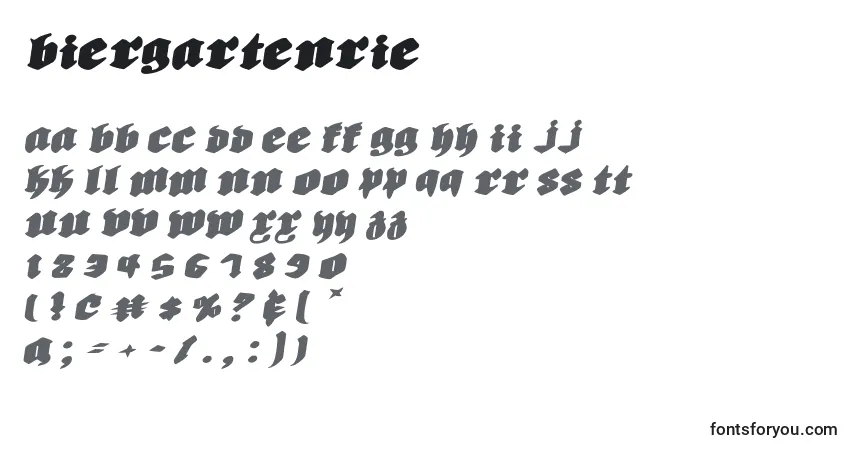 Шрифт Biergartenrie – алфавит, цифры, специальные символы