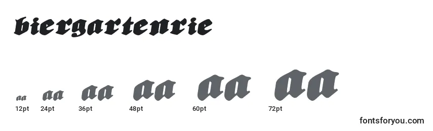 Размеры шрифта Biergartenrie