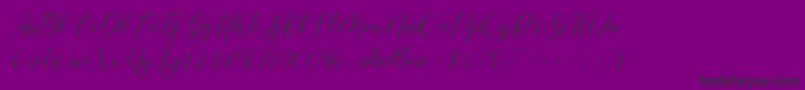 shelline Font – Black Fonts on Purple Background