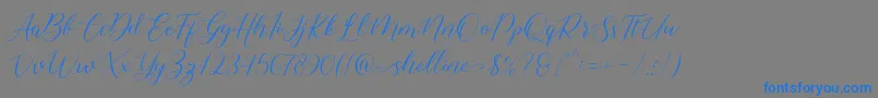shelline-Schriftart – Blaue Schriften auf grauem Hintergrund