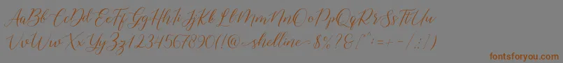 shelline-Schriftart – Braune Schriften auf grauem Hintergrund