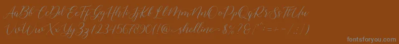 More about shelline Font shelline Font – Gray Fonts on Brown Background