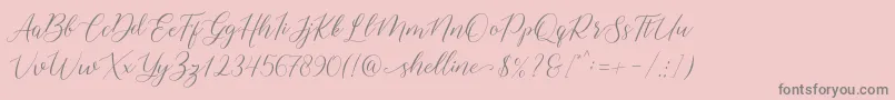 shelline Font – Gray Fonts on Pink Background