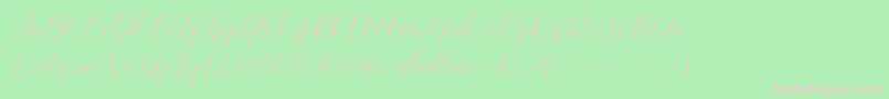 fuente shelline – Fuentes Rosadas Sobre Fondo Verde