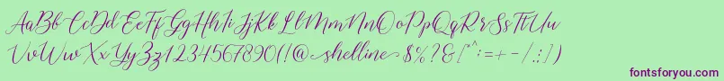 Police shelline – polices violettes sur fond vert