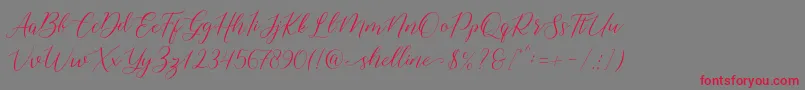 shelline Font – Red Fonts on Gray Background