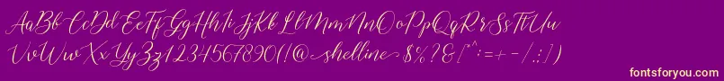 shelline Font – Yellow Fonts on Purple Background