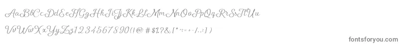 フォントShellyScript – 白い背景に灰色の文字