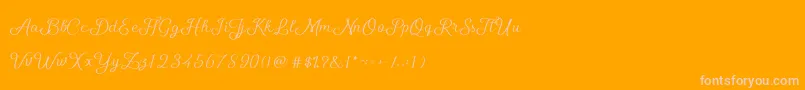 ShellyScript-Schriftart – Rosa Schriften auf orangefarbenem Hintergrund