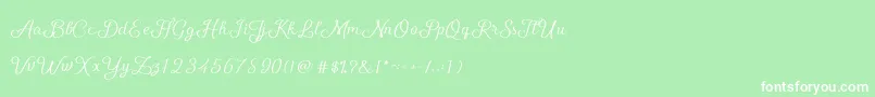 フォントShellyScript – 緑の背景に白い文字