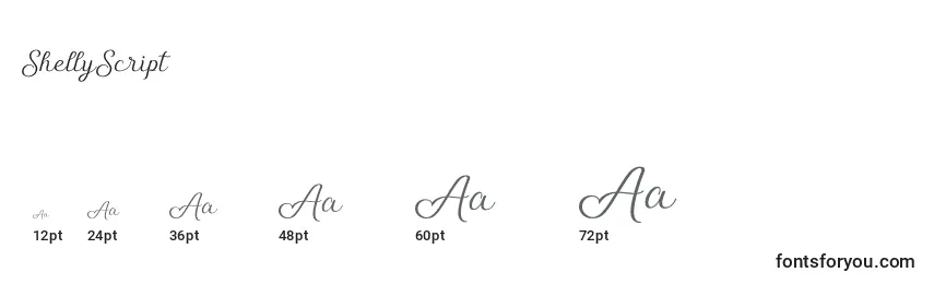 ShellyScript Font Sizes
