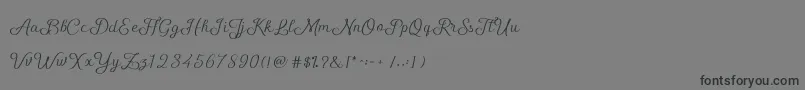 ShellyScript-fontti – mustat fontit harmaalla taustalla