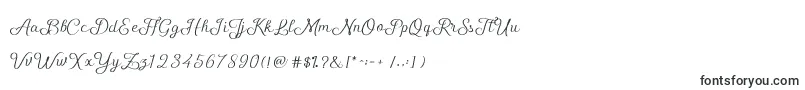 ShellyScript Font – Fonts for Signatures