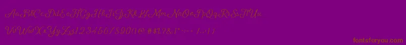 ShellyScript Font – Brown Fonts on Purple Background