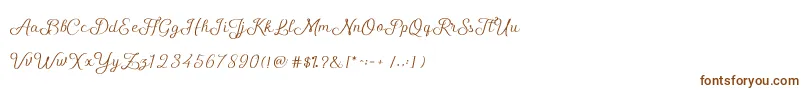 ShellyScript-Schriftart – Braune Schriften auf weißem Hintergrund