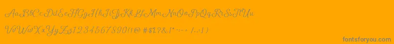 ShellyScript-Schriftart – Graue Schriften auf orangefarbenem Hintergrund