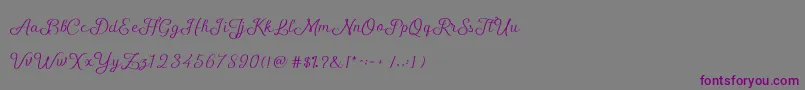 ShellyScript-Schriftart – Violette Schriften auf grauem Hintergrund
