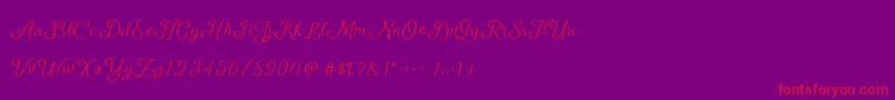 Шрифт ShellyScript – красные шрифты на фиолетовом фоне
