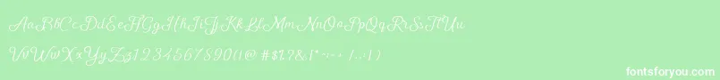 フォントShellyScript – 緑の背景に白い文字