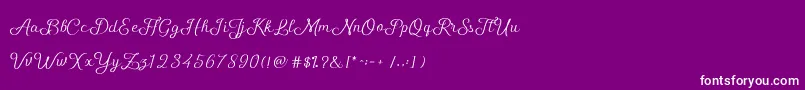 フォントShellyScript – 紫の背景に白い文字