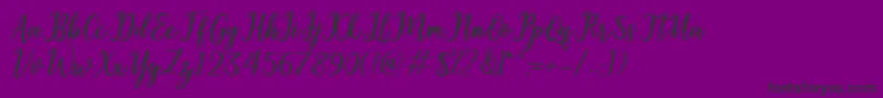 Shelter Font – Black Fonts on Purple Background