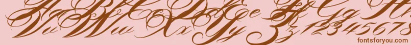 Shergine Font – Brown Fonts on Pink Background