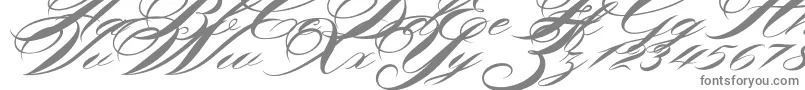 フォントShergine – 白い背景に灰色の文字