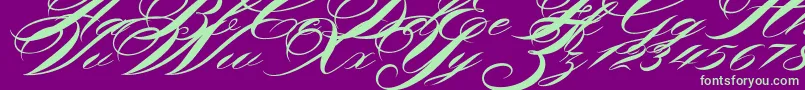 Shergine Font – Green Fonts on Purple Background