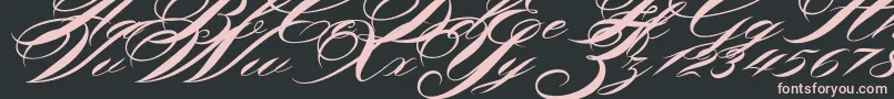 Shergine Font – Pink Fonts on Black Background