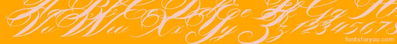 Shergine-Schriftart – Rosa Schriften auf orangefarbenem Hintergrund