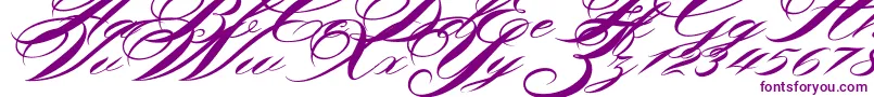 Shergine-Schriftart – Violette Schriften auf weißem Hintergrund