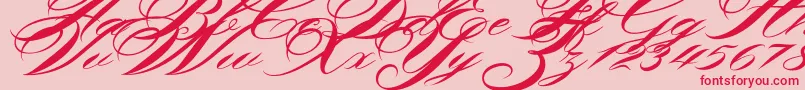 Shergine Font – Red Fonts on Pink Background