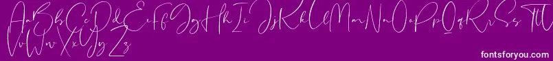 Sheridan Font – White Fonts on Purple Background