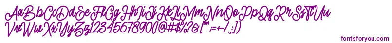 sherly shane demo-Schriftart – Violette Schriften