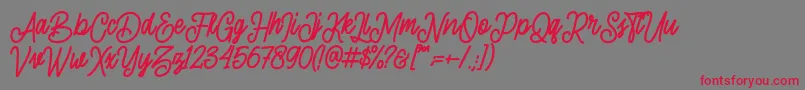 sherly shane demo Font – Red Fonts on Gray Background