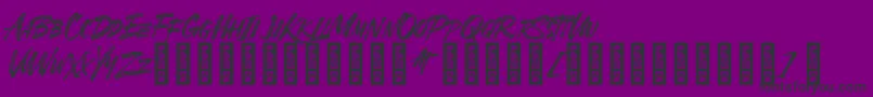 SheTerror Regular Font – Black Fonts on Purple Background