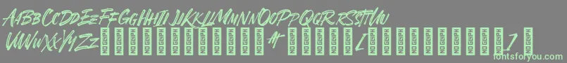 SheTerror Regular Font – Green Fonts on Gray Background