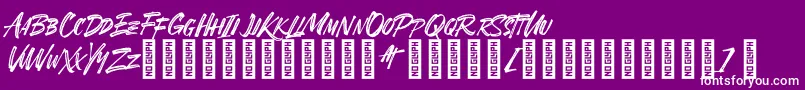 SheTerror Regular Font – White Fonts on Purple Background