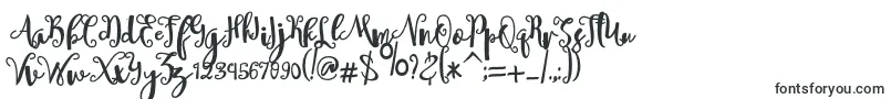 sheyna Font – Monogram Fonts