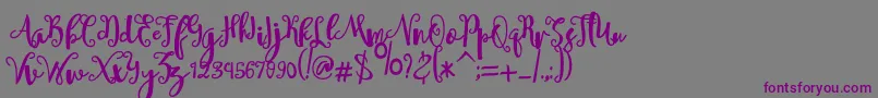 フォントsheyna – 紫色のフォント、灰色の背景