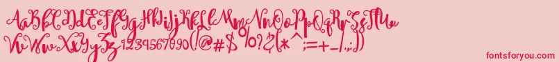 sheyna Font – Red Fonts on Pink Background
