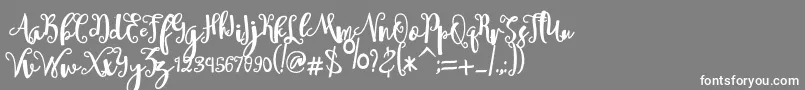 フォントsheyna – 灰色の背景に白い文字
