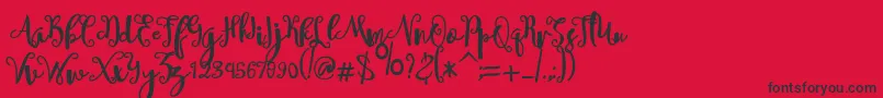 sheyna Font – Black Fonts on Red Background